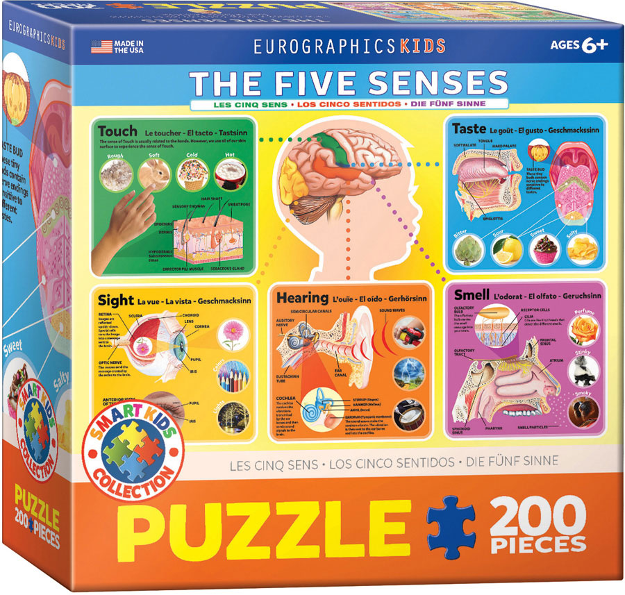 Eurographics 200 Piece Jigsaw Puzzle - The Five Senses